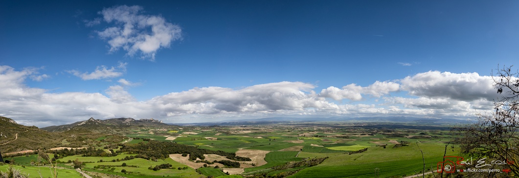 Verde la Rioja